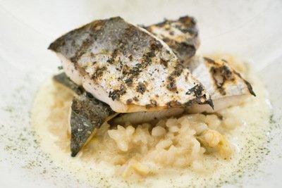 Grilled Spanish Mackerel - élan